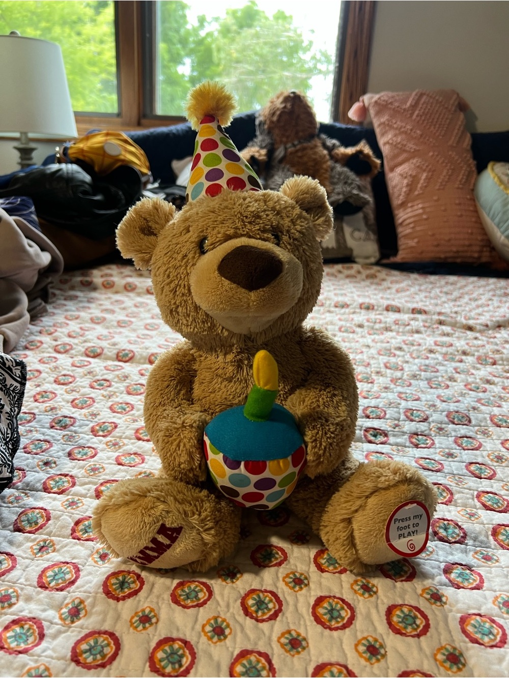 “Emma” Personalized Happy Birthday Gund Teddy Bear Lights Up